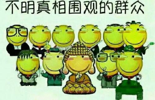 吃瓜网免费官网同心